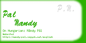 pal mandy business card